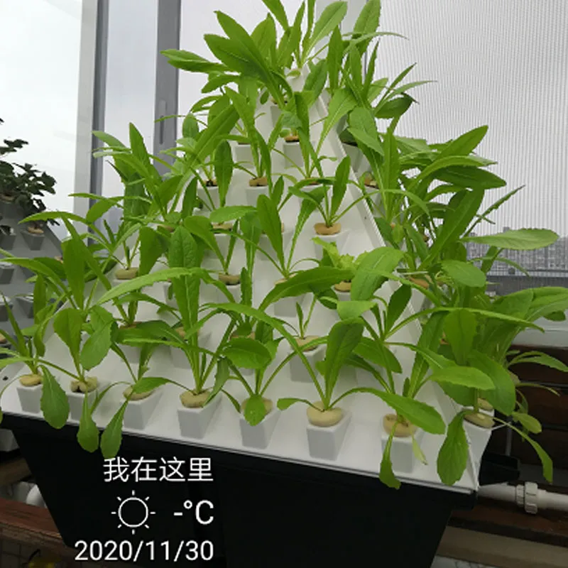 Многоярусные-посадочные-грядки-стеллажи4